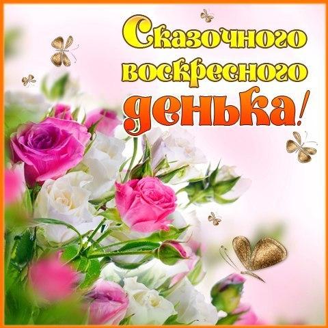 Открытки с воскресеньем прикольные. Открытка Хорошего воскресенья.