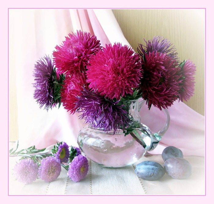 Фото Астры и хризантемы. Астры букет фото. Красивые Астры фото.