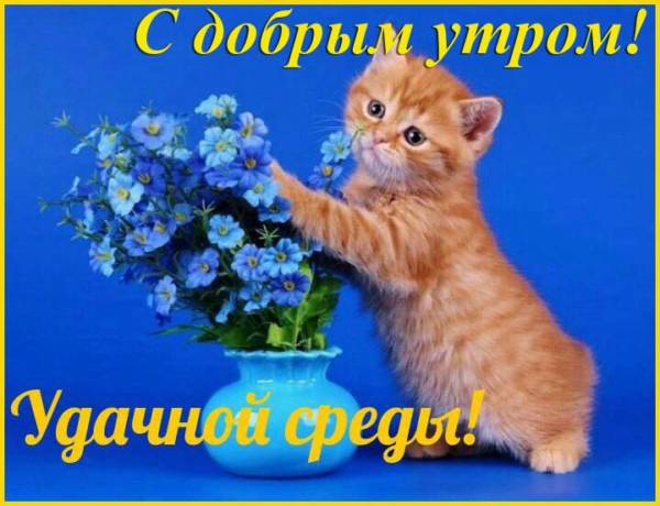 Доброе утро среда прикольные картинки хорошей среды гиф. Картинки Вот и Среда.