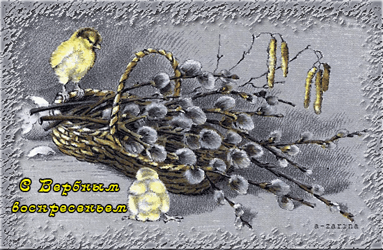 Открытка с вербным воскресеньем 2020. Открытка с вербным воскресеньем поздрав...