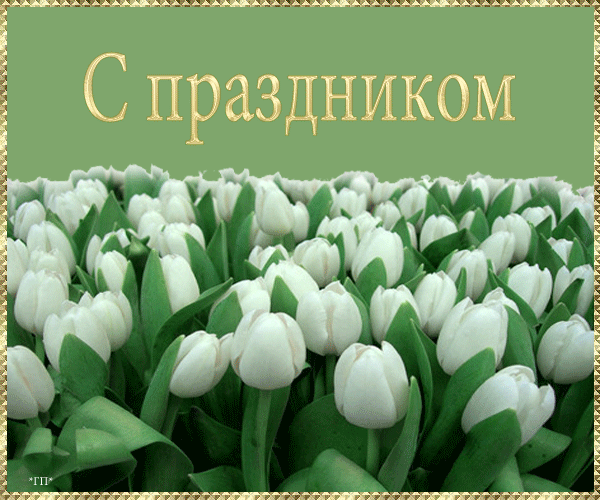 Открытки поздравляю с праздником 8 марта! Открытка с букетом розовых роз. Отк...