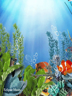 Удивительный подводный мир открытки. Подводный мир картинки открытки для детей.