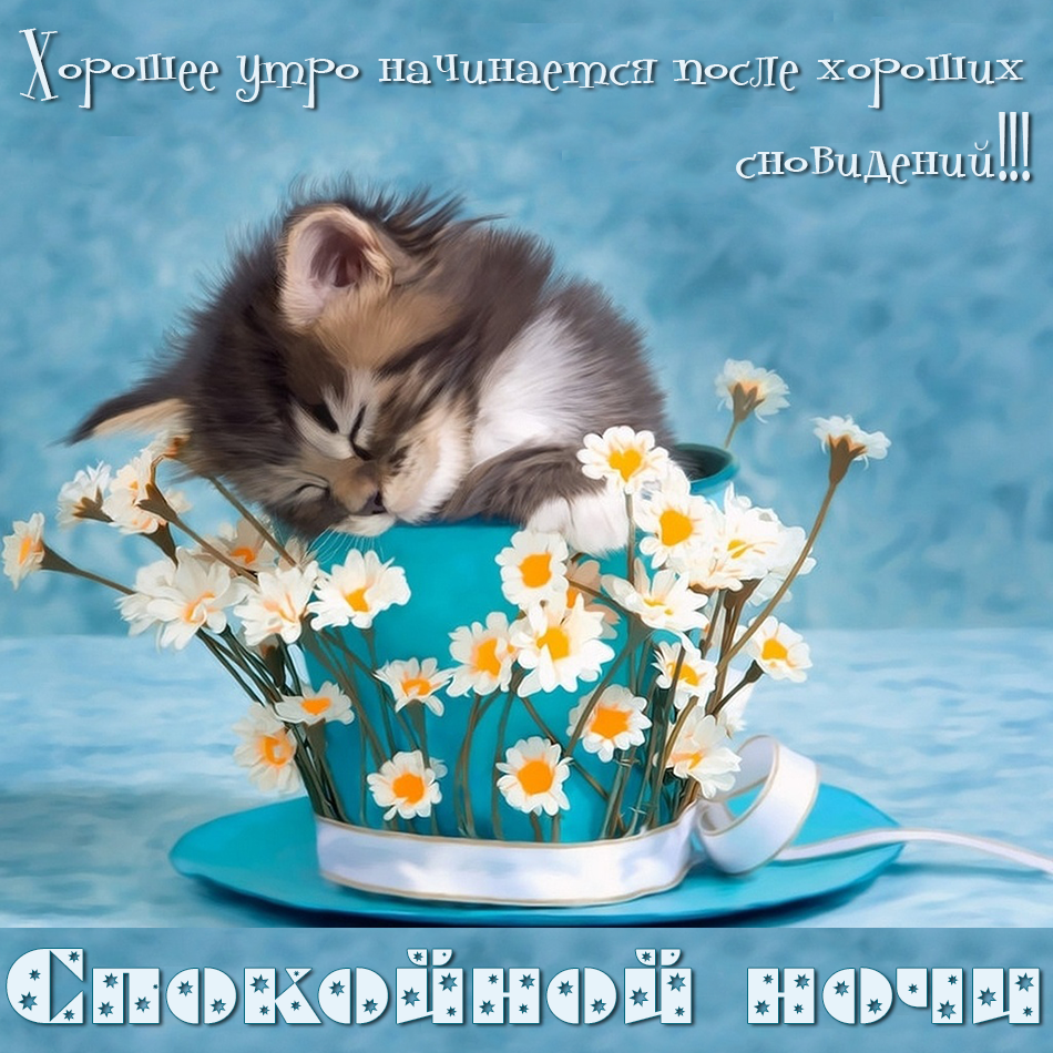 Гиф спокойной ночи мужчине. Открытки Спокойной ночи сладких снов.