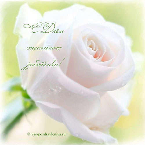 Приглашение на день социального работника. С Днем социального работника откры...