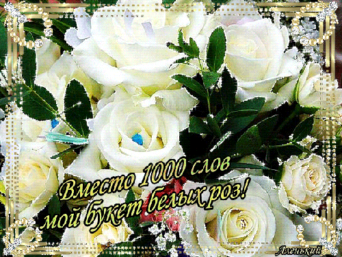 Шикарные Белые розы фото. Белые розы фото букет. Фото Белые розы в вазе.