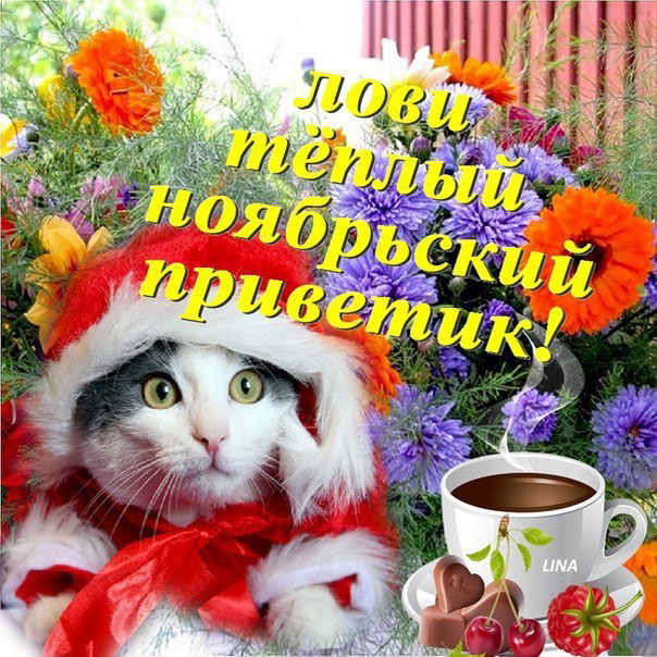 Открытка анимация с птицей Привет. Открытка с нарисованной собакой под зонтик...