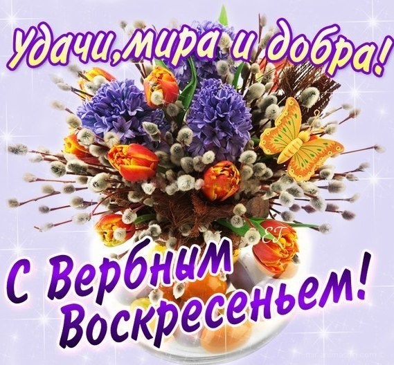Картинки GIF с вербным воскресеньем. Картинки поздравления с вербным воскресе...