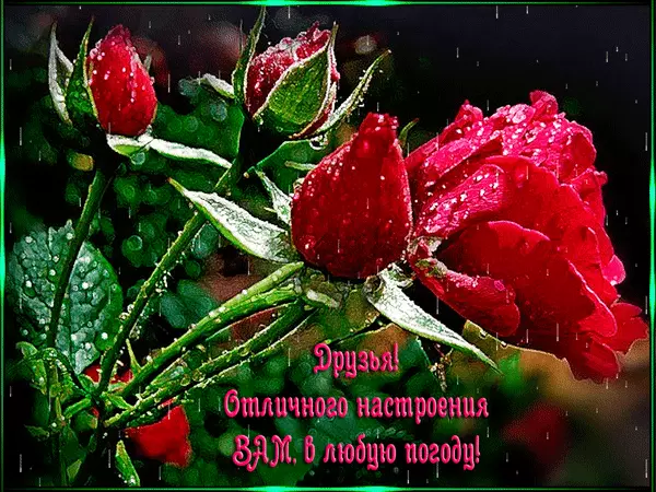 Открытка классного настроения в любую погоду. Открытка хорошей погоды в доме.