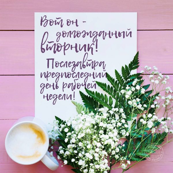 Открытка чудесного тебе вторника! Открытка яркого вторника! 