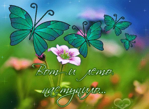 Скачать картинки С первым днем лето. Красивые картинки С первым днем лето.