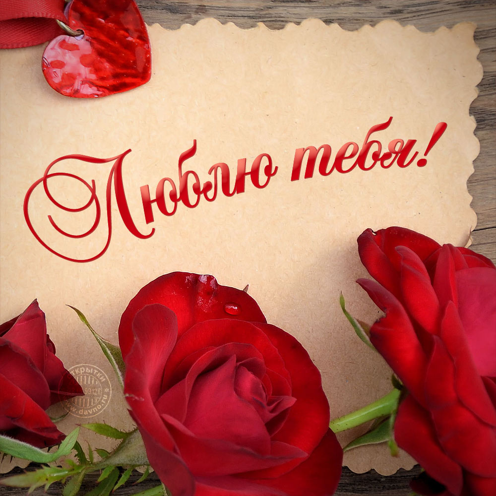 Картинки С днём рождения с красными розами. Картинки девушка с красными розами.