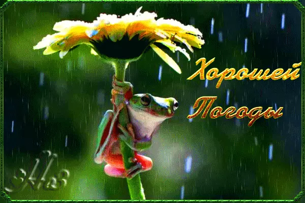 Приколы про погоду. открытка классного настроения в любую погоду.