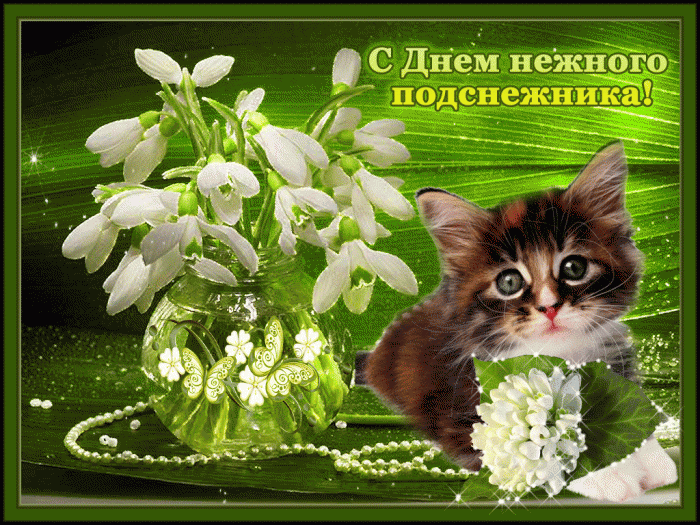 Открытка с днем подснежника. Открытка с днем рождения подснежники.