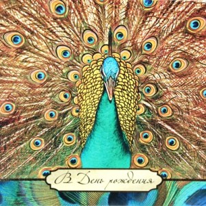 Павлин открытки рисунки. Открытка павлин с распущенным хвостом.