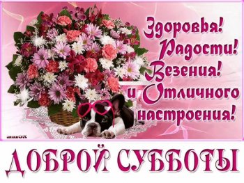 Прекрасной субботы. Пожелания Хорошей субботы в картинках.  