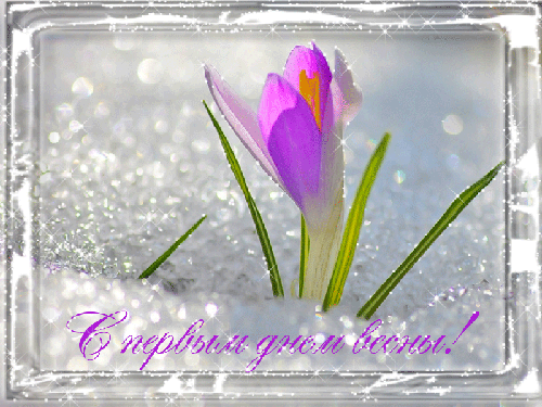 Прикольные поздравления С первым днем весны в картинках. Поздравить С первым ...