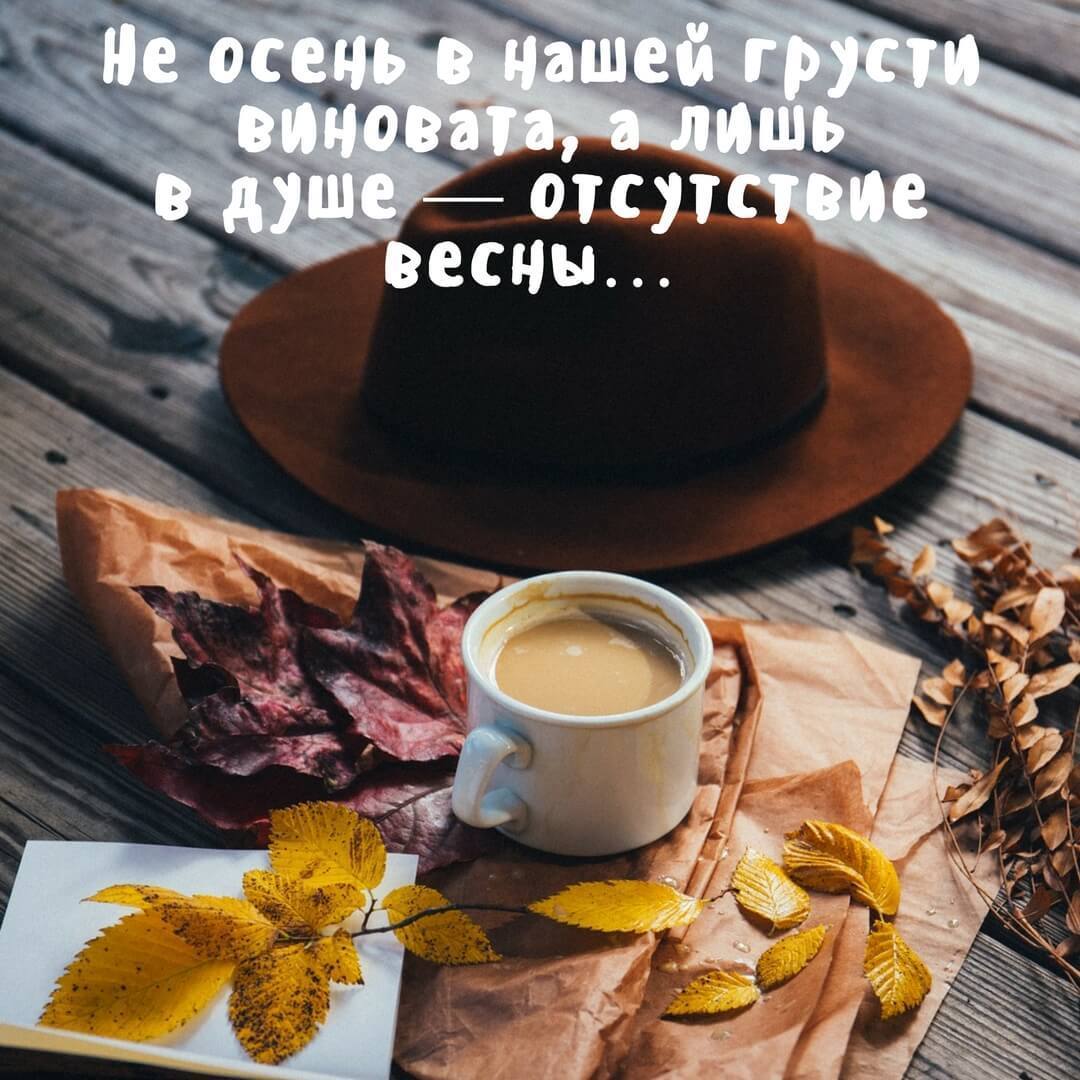 Картинки Не грусти все будет хорошо. Открытки с кошками Не грусти.