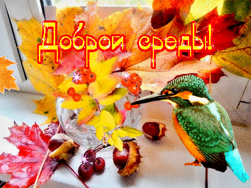 Доброе утро среда прикольные картинки хорошей среды гиф. Картинки Вот и Среда.