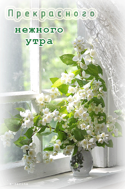 Открытка Доброе утро С чашечкой чая и букетом жасмина стеклянной вазе.