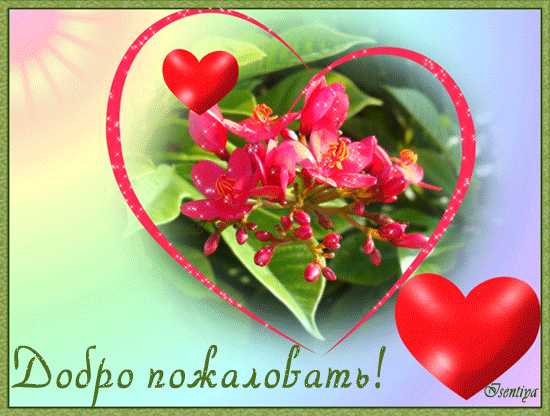 Картинка прикол Добро пожаловать. Картинка Добро пожаловать домой.