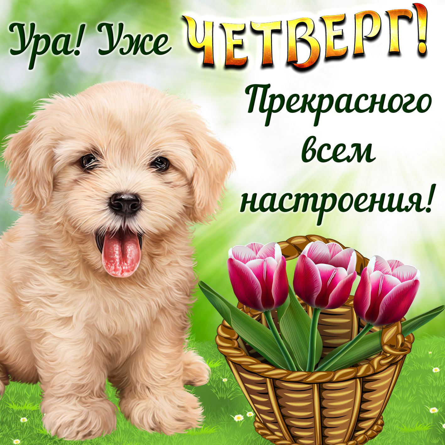 Открытка четверг. Открытка четверг Доброе утро.