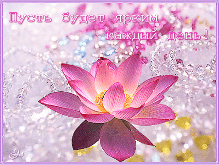 Открытки с лотосом. Открытки с лотосами. 