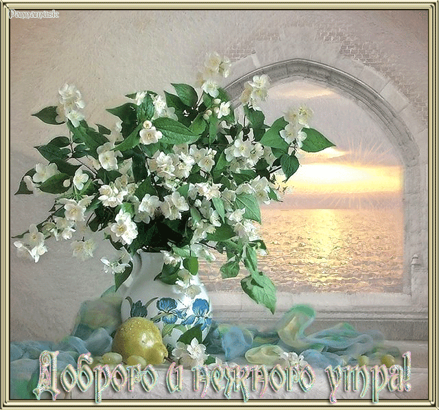 Открытки с жасмином. Открытка с днём рождения с жасмином.