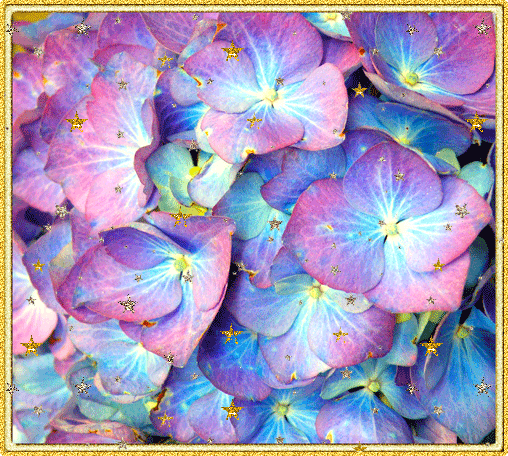 Открытки С днём рождения с гортензиями. Открытки гортензиями.