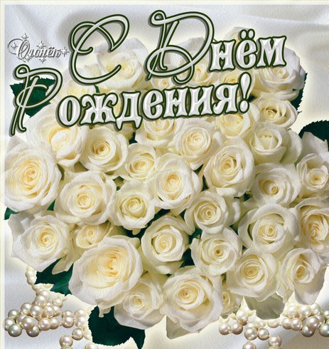 Открытки с белыми розами. Открытки с белыми розами днём рождения.