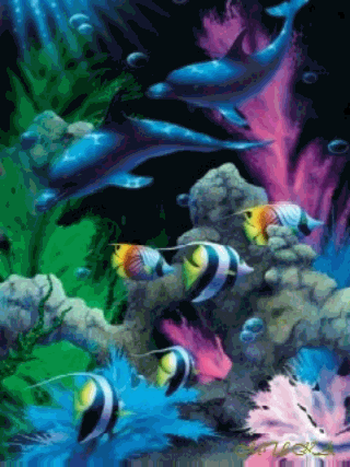 Открытки с подводным миром. Картинка с подводным миром.