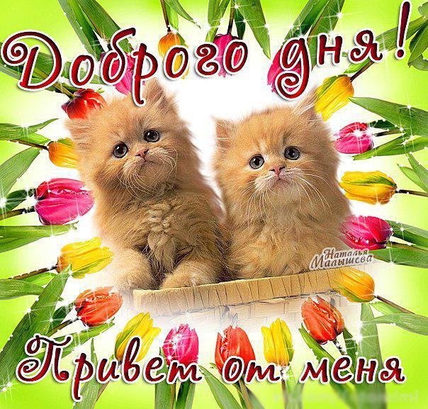 Открытки Добрый день. Открытки Добрый день мужчине.