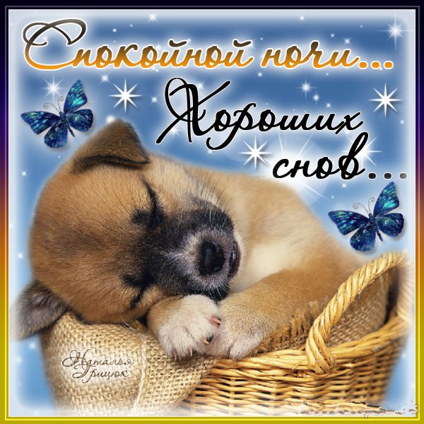 Открытки спокойной ночи скачать бесплатно.