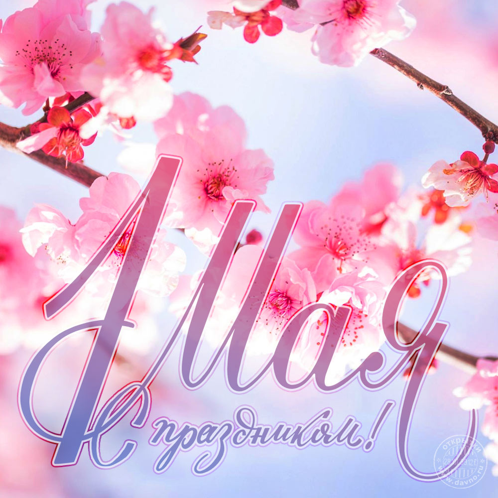 Открытка на 1 Мая. Открытка на 1 мая фото. Открытка на 1 Мая картинки.