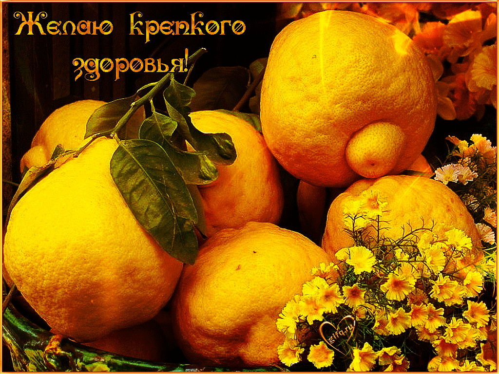 Открытка крепкого здоровья. Открытка Желаю крепкого здоровья.