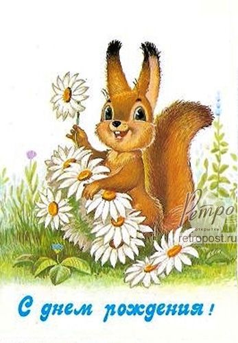 Открытки с белочками. Открытка с белочкой.