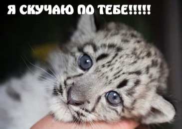 Я скучаю Открытки я скучаю без тебя. Открытки я скучаю по тебе подруга.