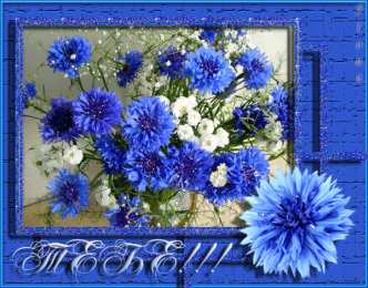 С васильками Картинки с васильками. Картинки с васильками с днём рождения.