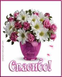 Спасибо Картинки со словом Спасибо. Картинки Спасибо за внимание смешные.