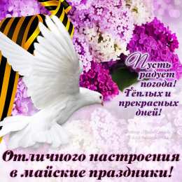 Открытки С сиренью Скачать бесплатно сирень.  Открытки С днём рождения с сиренью. Открытка Сиреневая Нежность, я с корзиной цветов сирени Сиреневый и голубой. Открытка Приятного вечера с букетом сирени. Картинки с днём рождения с сиренью. Скачать бесплатно сирень.