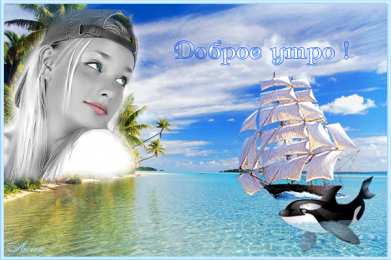 С дельфинами Картинки открытки дельфины на закате. Красивые открытки дельфинов.