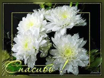 С астрами Фото Астры и хризантемы. Астры букет фото. Красивые Астры фото.