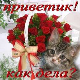 С приветствием  Открытка Привет любимый. Открытка приветствие. Открытка Привет мужчине.