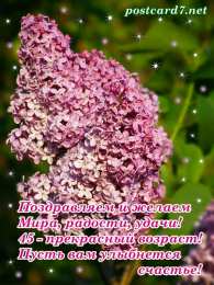 С сиренью Скачать бесплатно сирень.  Открытки С днём рождения с сиренью.