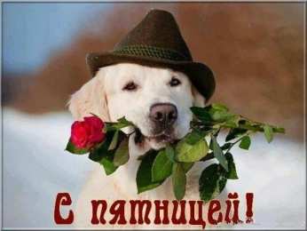 Хорошей пятницы Хорошей пятницы пожелания. К пятнице Гиф. Картинки пятница пришла.