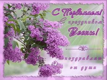 Открытки С сиренью Красивые картинки с сиренью. Анимационные картинки с сиренью. Картинка с сиренью. Красивая картинка с сиренью. Поздравительные открытки с сиренью. Открытки с изображением сирени. Скачать бесплатно сирень. Открытка сирень своими руками.