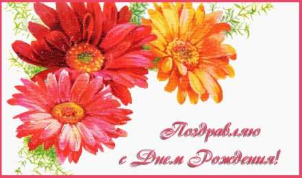 С герберами Оранжевые герберы фото. Герберы фото букетов. Белые герберы фото.