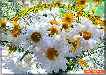 С ромашками Открытка Зайчик с ромашками. Открытка с ромашками на день рождения.