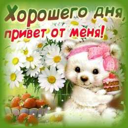 С ромашками Картинки с ромашками. Картинки Спокойной ночи с ромашками.  