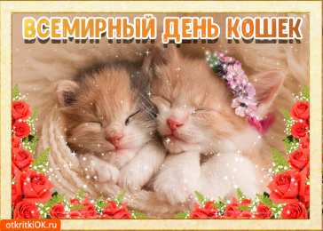 С Всемирным днём кошек Открытка с международным днем кошек. Красивая с Днем кошек. 