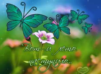 Про лето Смешные картинки Скоро лето. Хочу на море смешные картинки. 